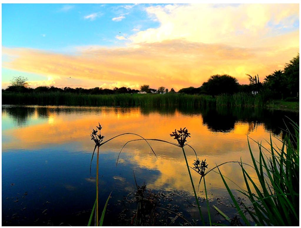 Phakalane Golf Estate Hotel Resort Gaborone Zařízení fotografie