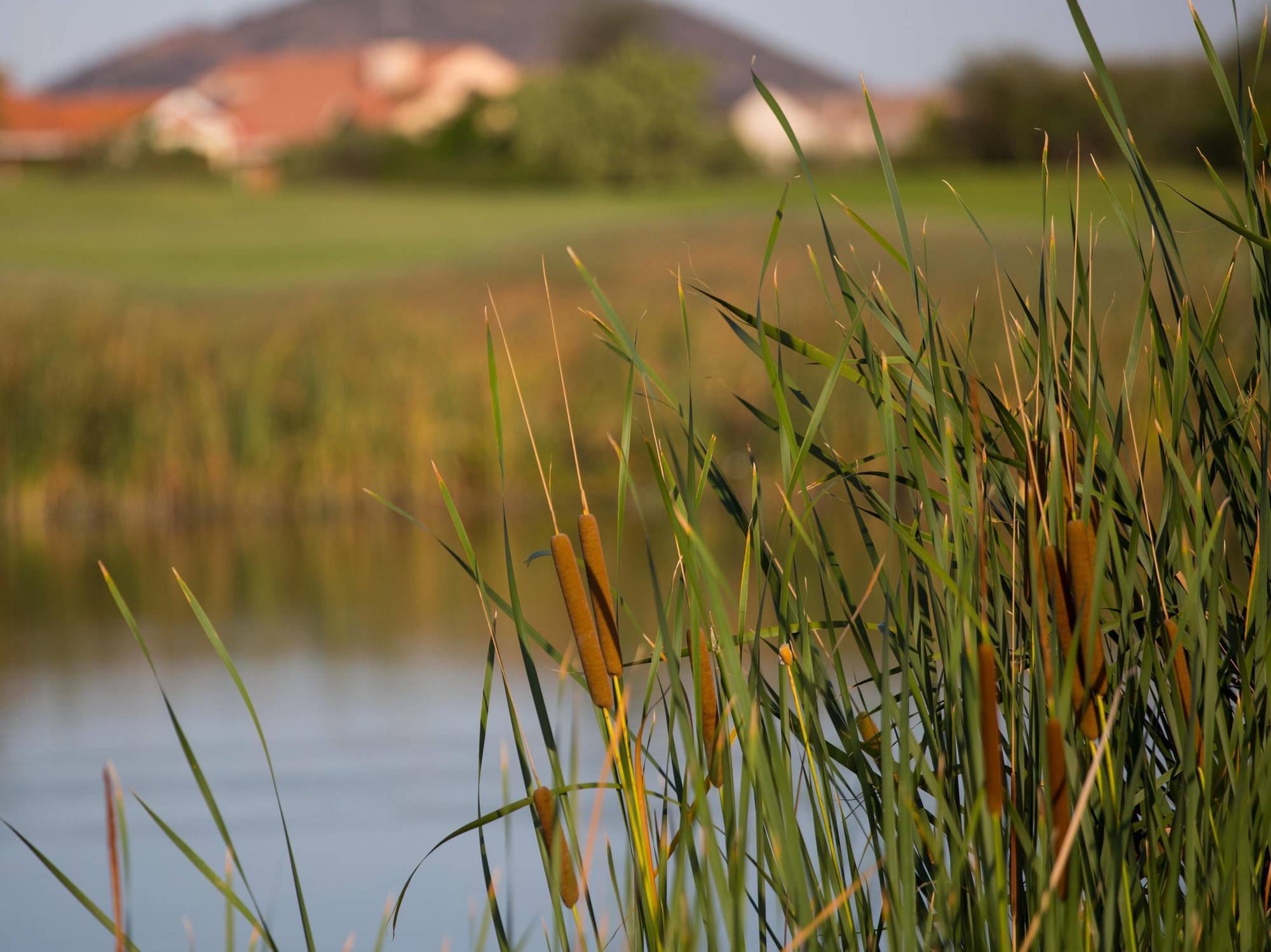 Phakalane Golf Estate Hotel Resort Gaborone Exteriér fotografie